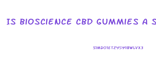 Is Bioscience Cbd Gummies A Scam
