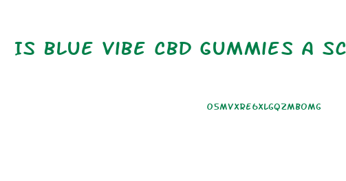 Is Blue Vibe Cbd Gummies A Scam