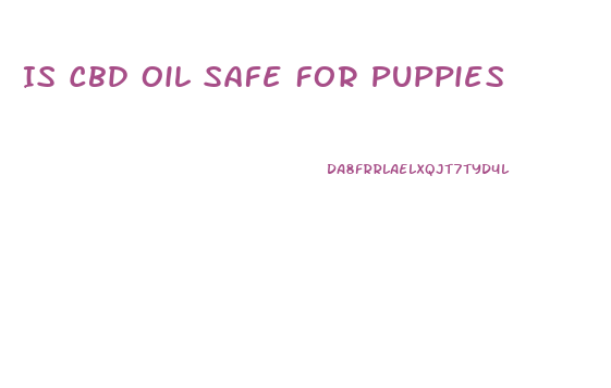 Is Cbd Oil Safe For Puppies