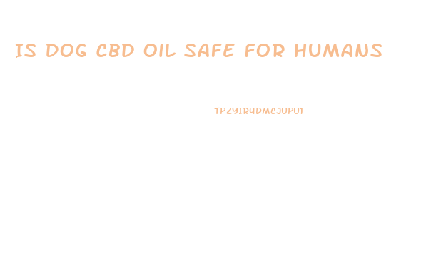 Is Dog Cbd Oil Safe For Humans