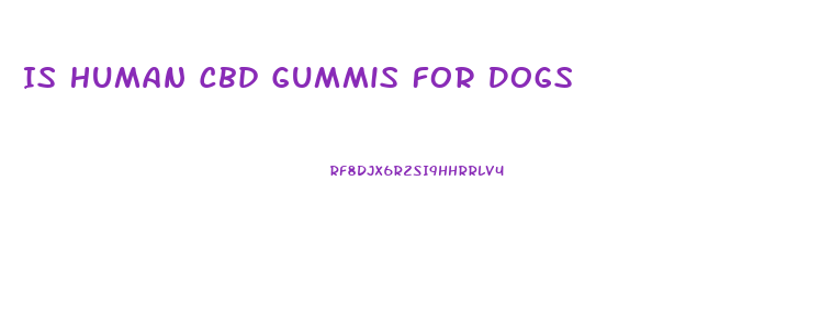 Is Human Cbd Gummis For Dogs