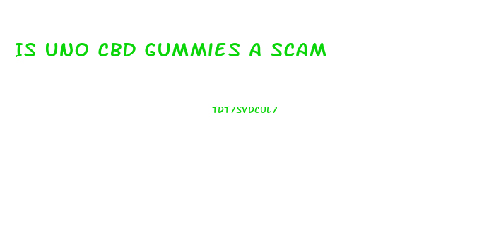 Is Uno Cbd Gummies A Scam