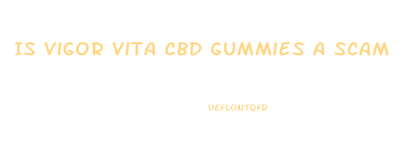 Is Vigor Vita Cbd Gummies A Scam