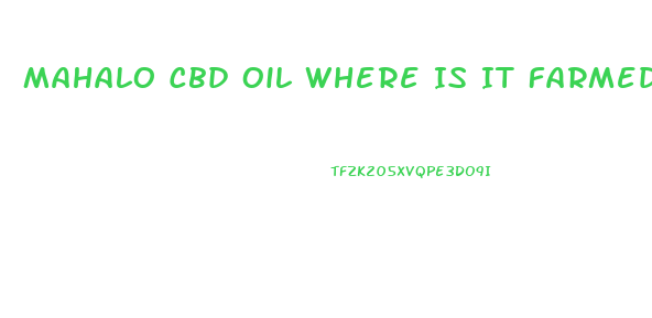 Mahalo Cbd Oil Where Is It Farmed