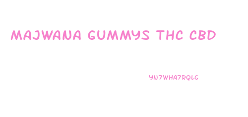 Majwana Gummys Thc Cbd