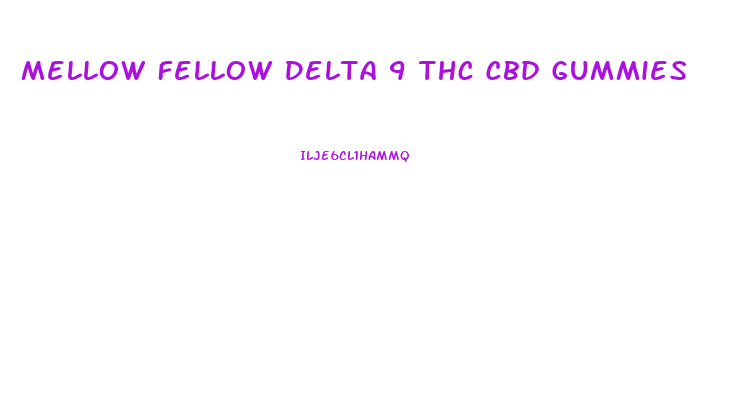 Mellow Fellow Delta 9 Thc Cbd Gummies