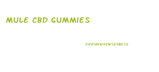 Mule Cbd Gummies