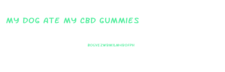 My Dog Ate My Cbd Gummies