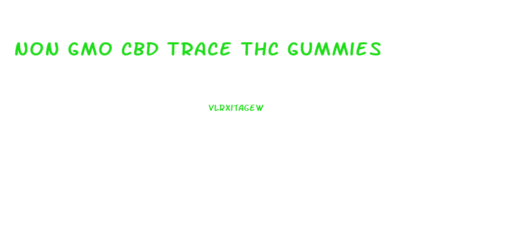 Non Gmo Cbd Trace Thc Gummies
