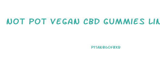 Not Pot Vegan Cbd Gummies Linkedin