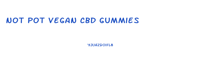 Not Pot Vegan Cbd Gummies