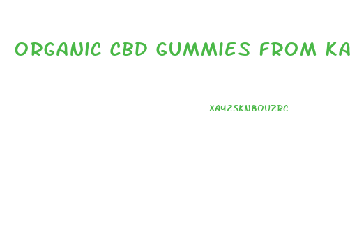 Organic Cbd Gummies From Kangaroo Cbd