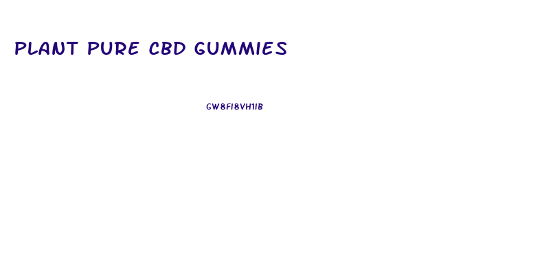 Plant Pure Cbd Gummies