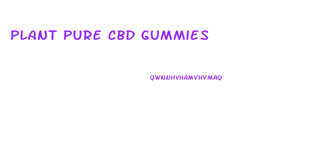 Plant Pure Cbd Gummies