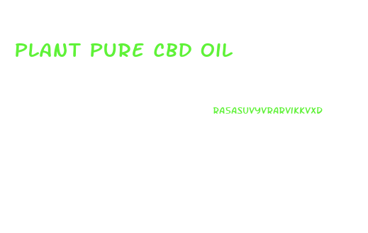 Plant Pure Cbd Oil