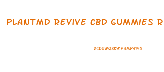 Plantmd Revive Cbd Gummies Reviews