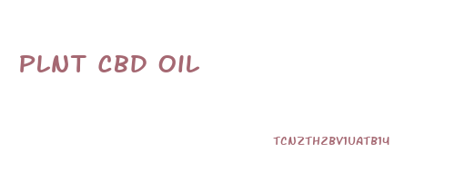 Plnt Cbd Oil