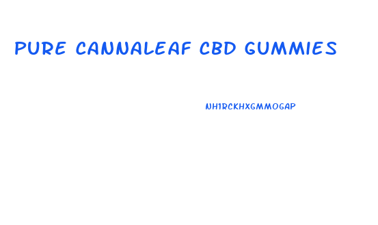 Pure Cannaleaf Cbd Gummies