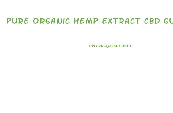 Pure Organic Hemp Extract Cbd Gummies