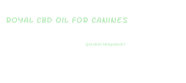 Royal Cbd Oil For Canines