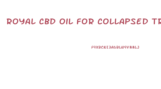 Royal Cbd Oil For Collapsed Trachea