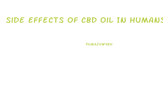 Side Effects Of Cbd Oil In Humans