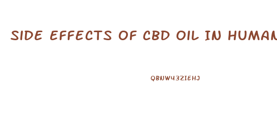 Side Effects Of Cbd Oil In Humans