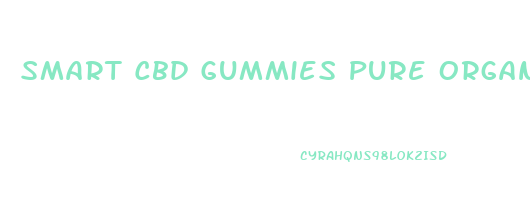 Smart Cbd Gummies Pure Organic Hemp Extract 300mg