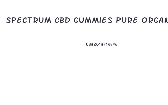 Spectrum Cbd Gummies Pure Organic Hemp Extract 300mg
