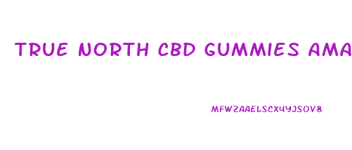 True North Cbd Gummies Amazon