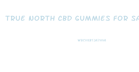 True North Cbd Gummies For Sale
