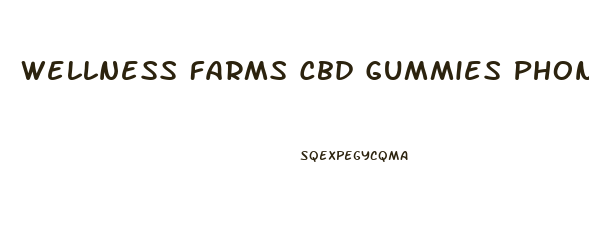 Wellness Farms Cbd Gummies Phone Number