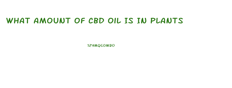 What Amount Of Cbd Oil Is In Plants