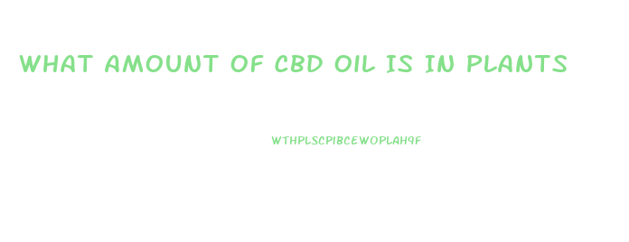 What Amount Of Cbd Oil Is In Plants