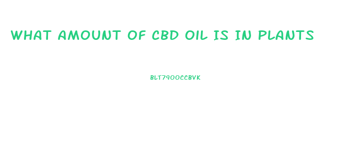 What Amount Of Cbd Oil Is In Plants