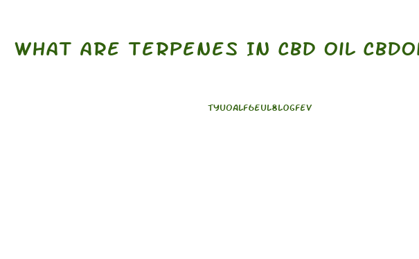What Are Terpenes In Cbd Oil Cbdoilusers