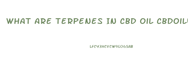 What Are Terpenes In Cbd Oil Cbdoilusers