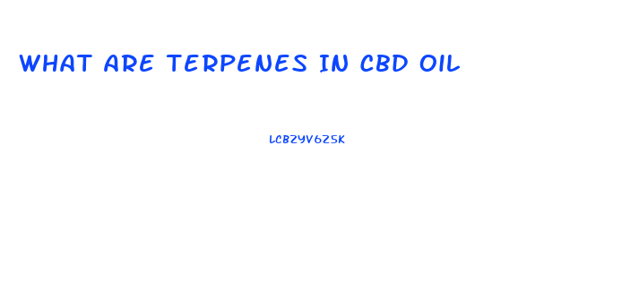 What Are Terpenes In Cbd Oil