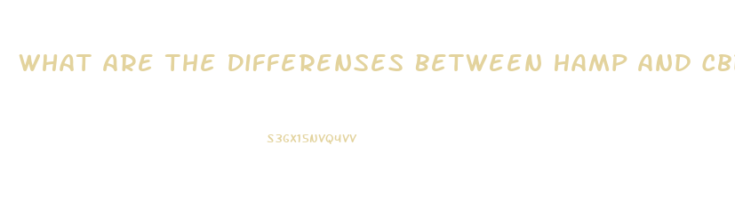 What Are The Differenses Between Hamp And Cbd Oil