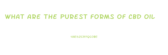 What Are The Purest Forms Of Cbd Oil