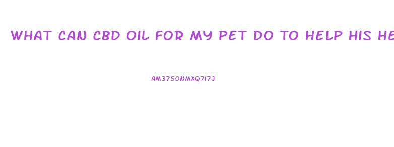 What Can Cbd Oil For My Pet Do To Help His Help