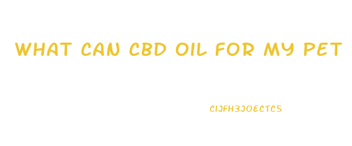 What Can Cbd Oil For My Pet Do To Help His Help