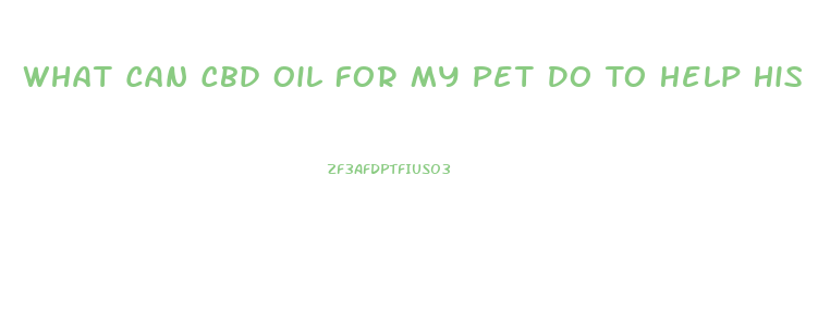 What Can Cbd Oil For My Pet Do To Help His Help