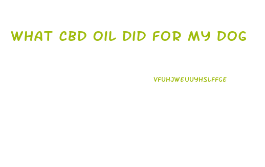 What Cbd Oil Did For My Dog