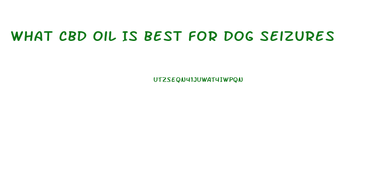 What Cbd Oil Is Best For Dog Seizures