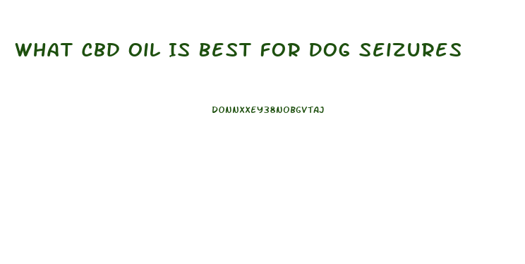What Cbd Oil Is Best For Dog Seizures