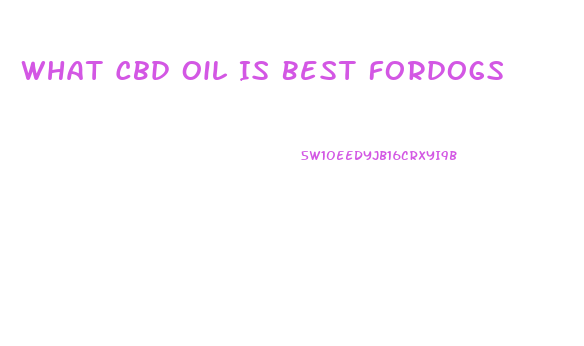 What Cbd Oil Is Best Fordogs