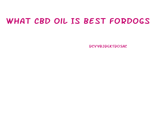 What Cbd Oil Is Best Fordogs