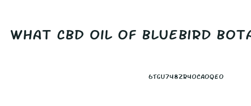 What Cbd Oil Of Bluebird Botanicals Makes You Sleep