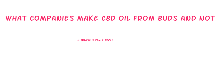 What Companies Make Cbd Oil From Buds And Not Hemp Seed